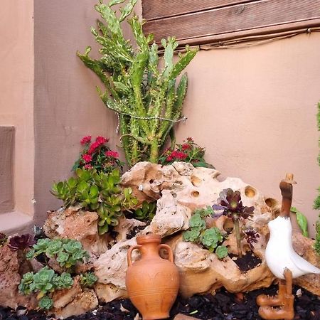 Cypress Garden House Apartment Gazi Luaran gambar