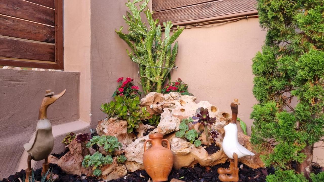 Cypress Garden House Apartment Gazi Luaran gambar